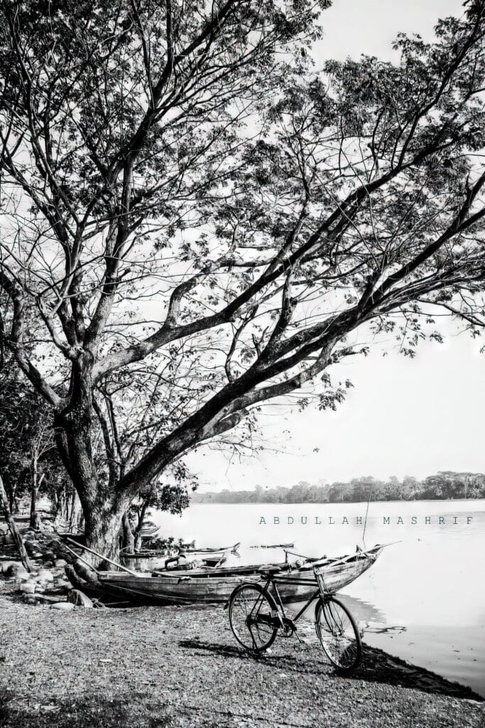 Rural Landscape Photography